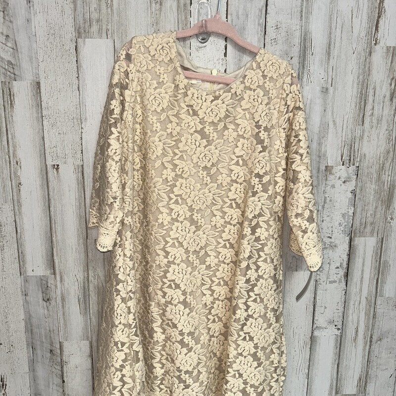 5 Tan Floral Lace Dress