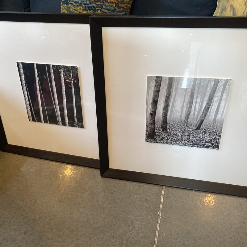 Black And White Aspens, Set Of 2

Size: 28x28