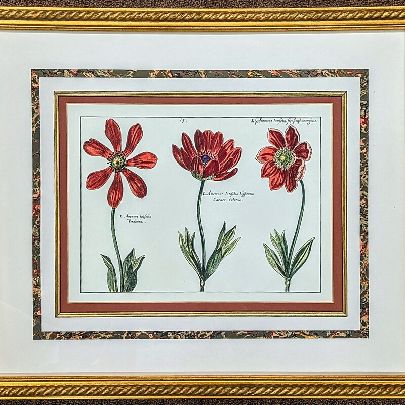 3 Anemone Matted Flowers in Frame
Red Green Gold White Size: 20.5 x 17.5H