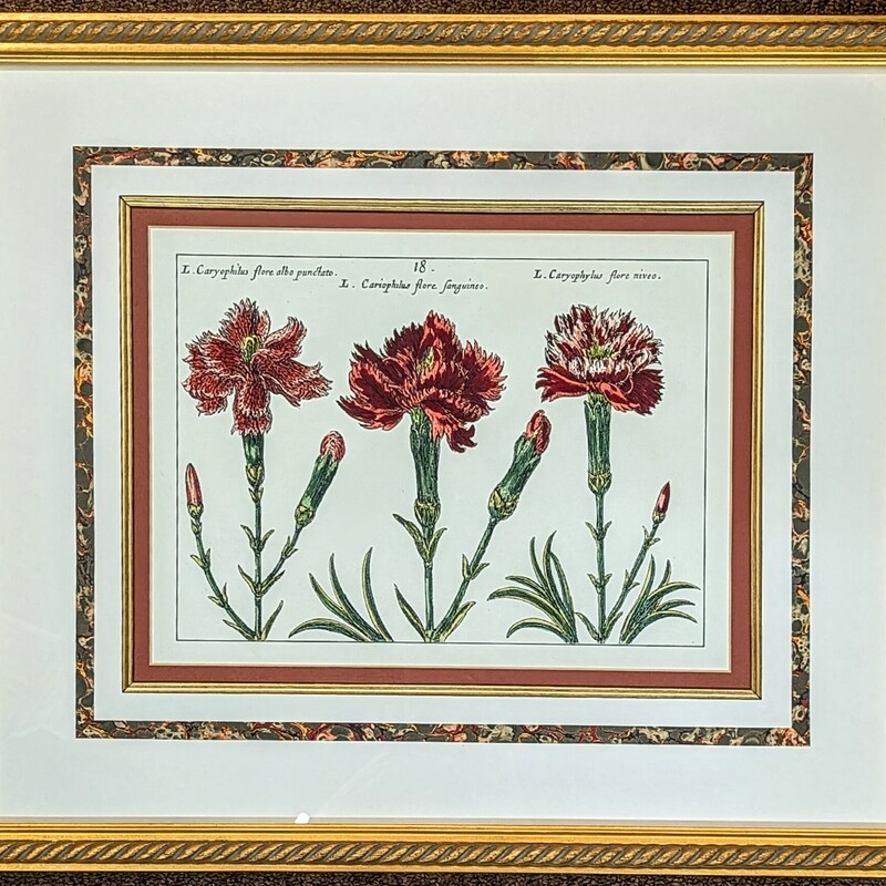 3 Caryophilus Matted Flowers in Frame
Red Green Gold White Size: 20.5 x 17.5H