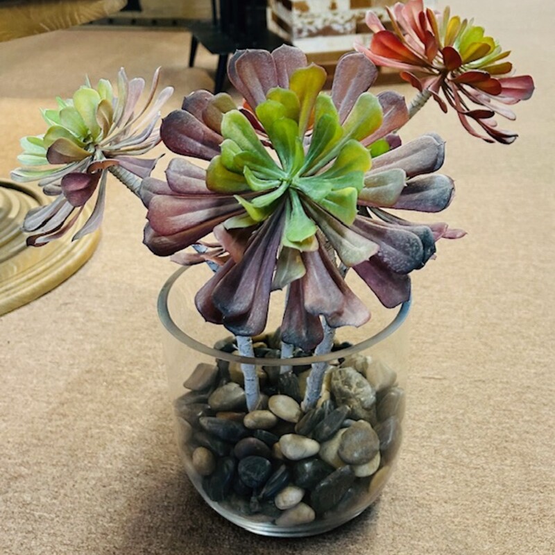 Succulent Tree in Glass Planter with Stones
Green Red White Gray
Size: 20 x 20H