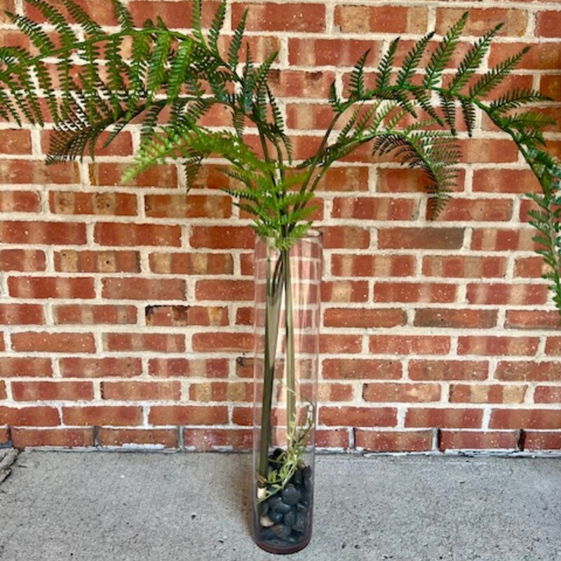 Fern Branches In Glass Vase with Black Stones
Green Clear Black
Size: 31 x 41H