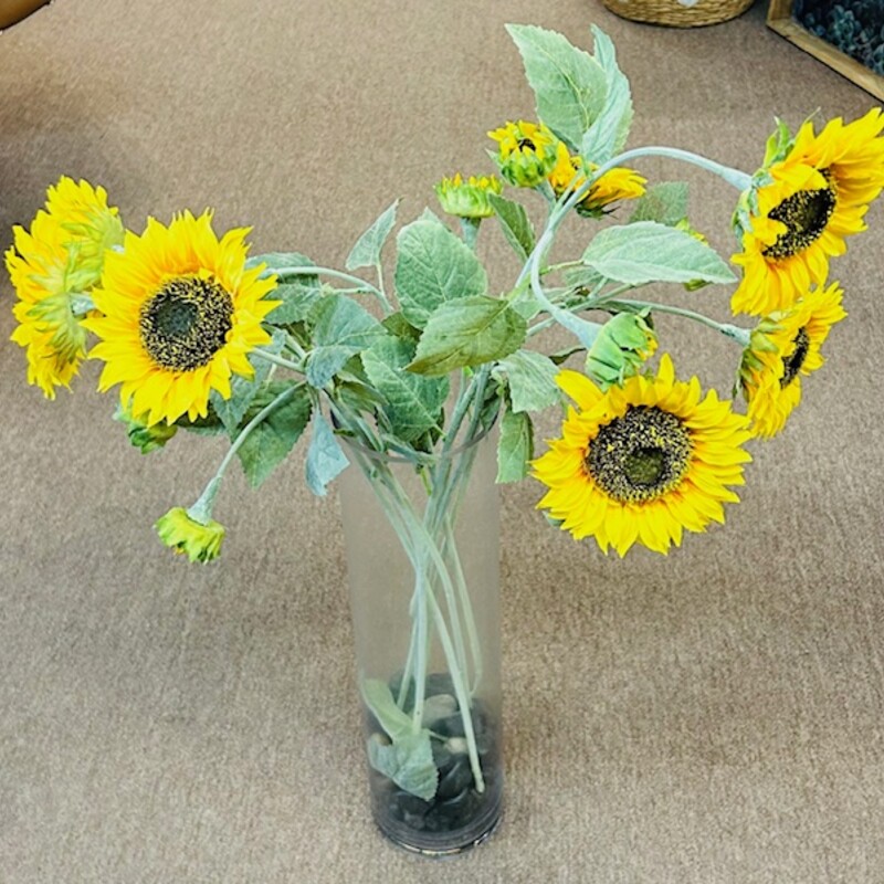 Sunflowers In Clear Vase Black and Gray Stones
Yellow Brown Clear Black and Gray
Size: 19 x 33H