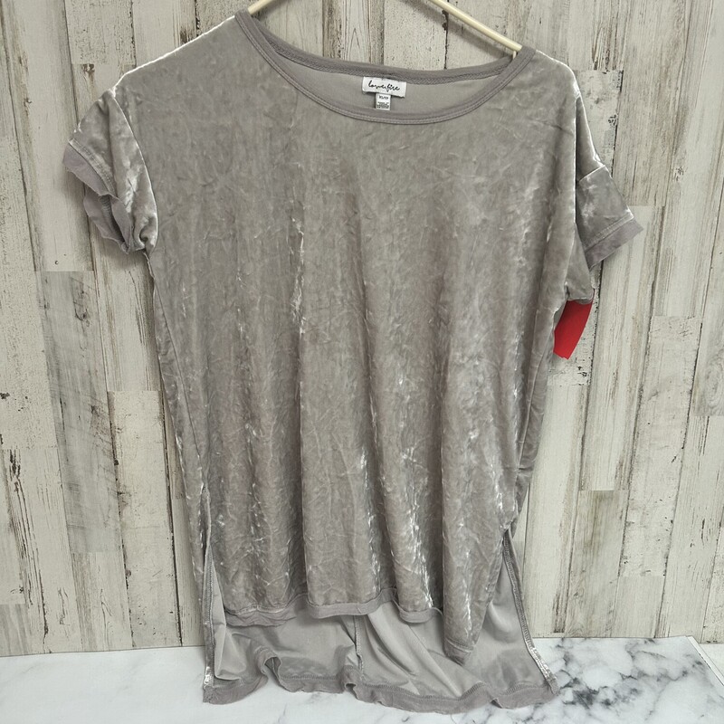 XS Grey Velvet Top