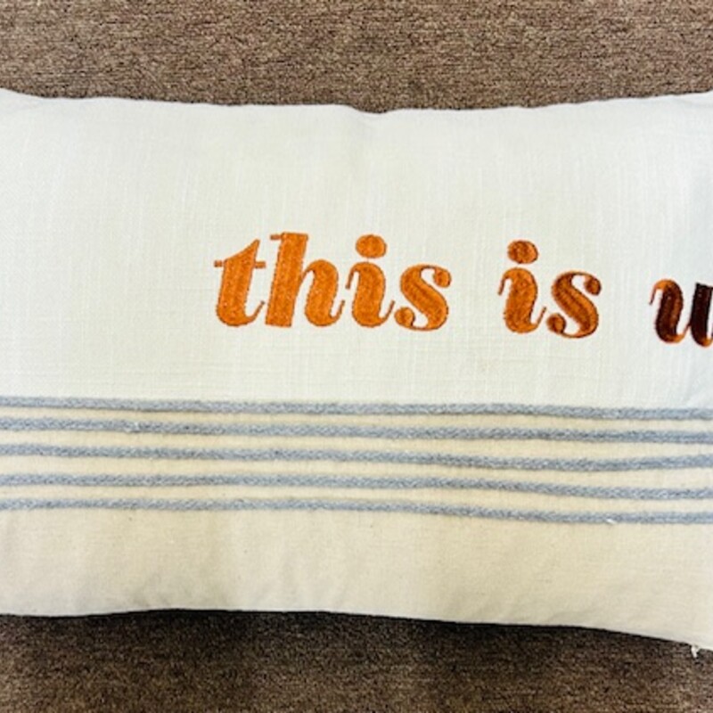 This Is Us Pillow Down Pillow
Tan Cream Orange Gray
Size: 21 x 13H