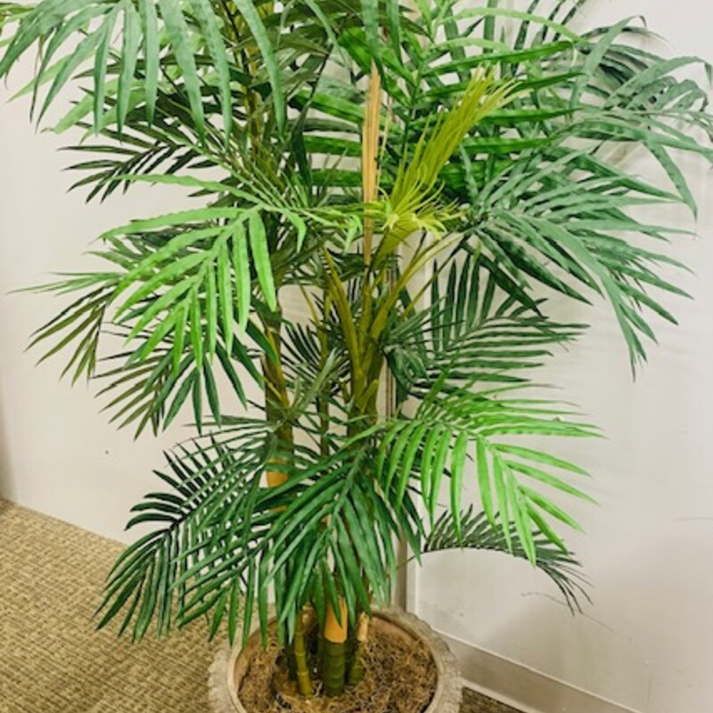 Faux Palm In Stone Pot
Green in Cream Stone Pot
Size: 43x56H