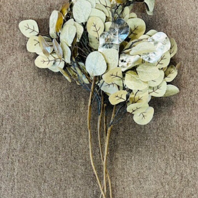 Set of 4 Silver Dollar Leaves Stems
Tan Gold Brown
Size: 17 x 27H