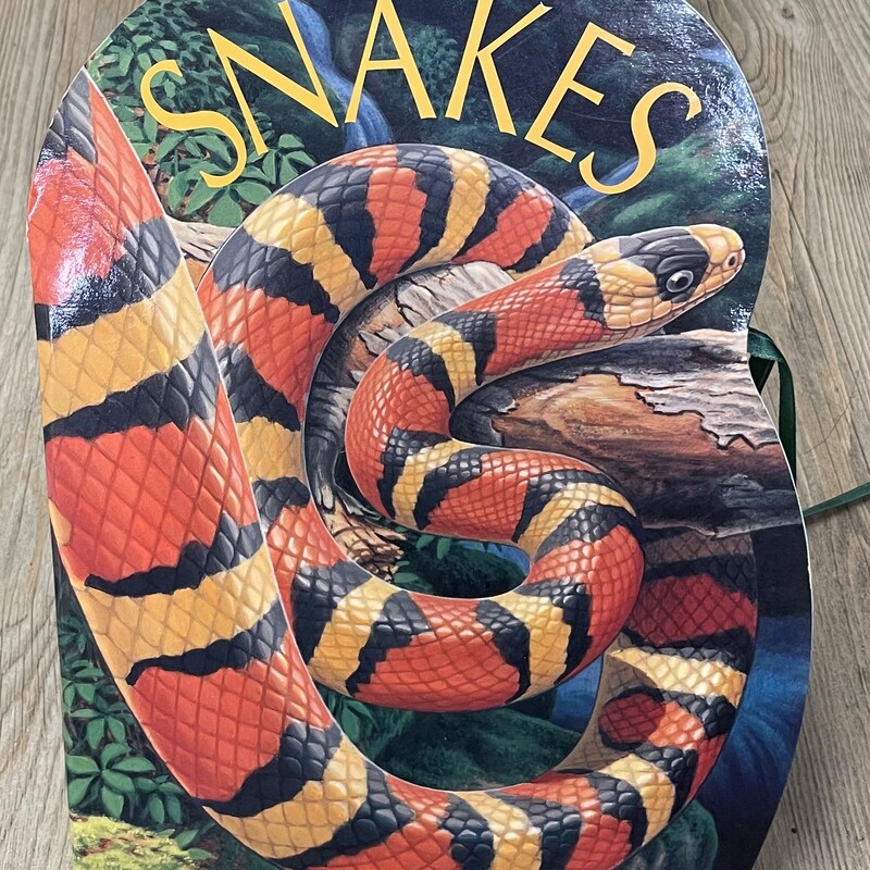 Misunderstood Snakes, Multi, Size: Paperback