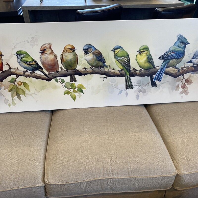 Panoramic Birds On Branch