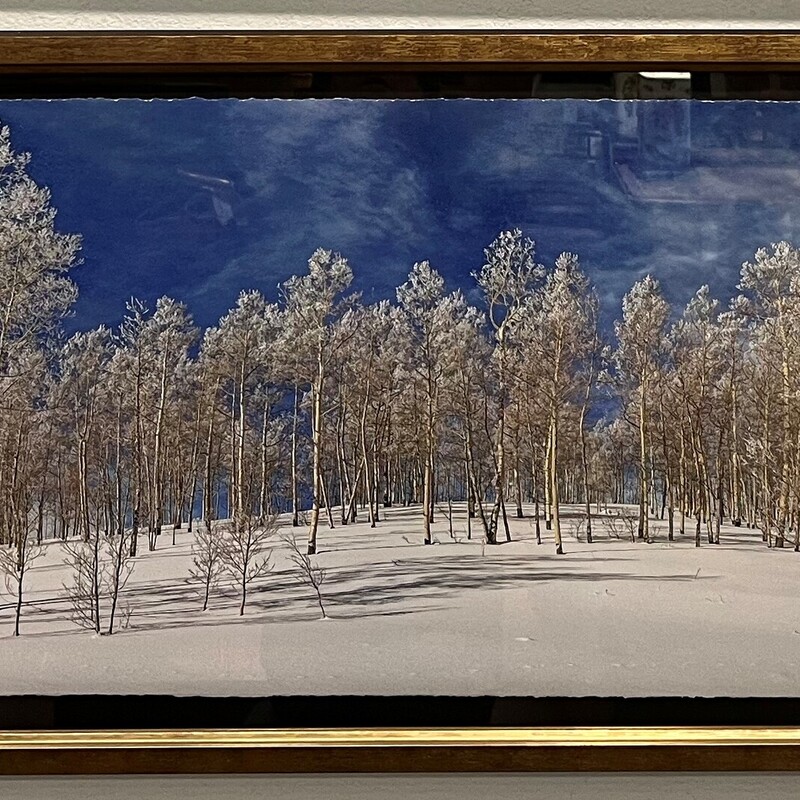 Winter Trees Rod Hanna, Framed
42(w) X 22(h)