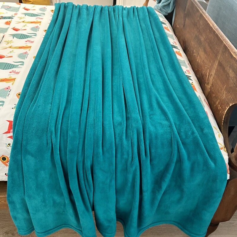 Micro Fleece Blanket
Teal