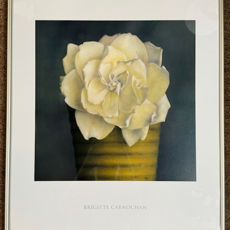 Brigitte Carnochan Floral Print
White Black Yellow
]Size: 16 x 18H