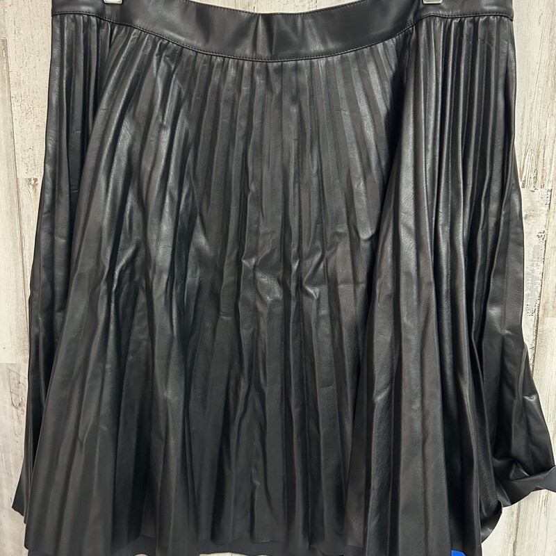 1X Leather Pleat Skirt