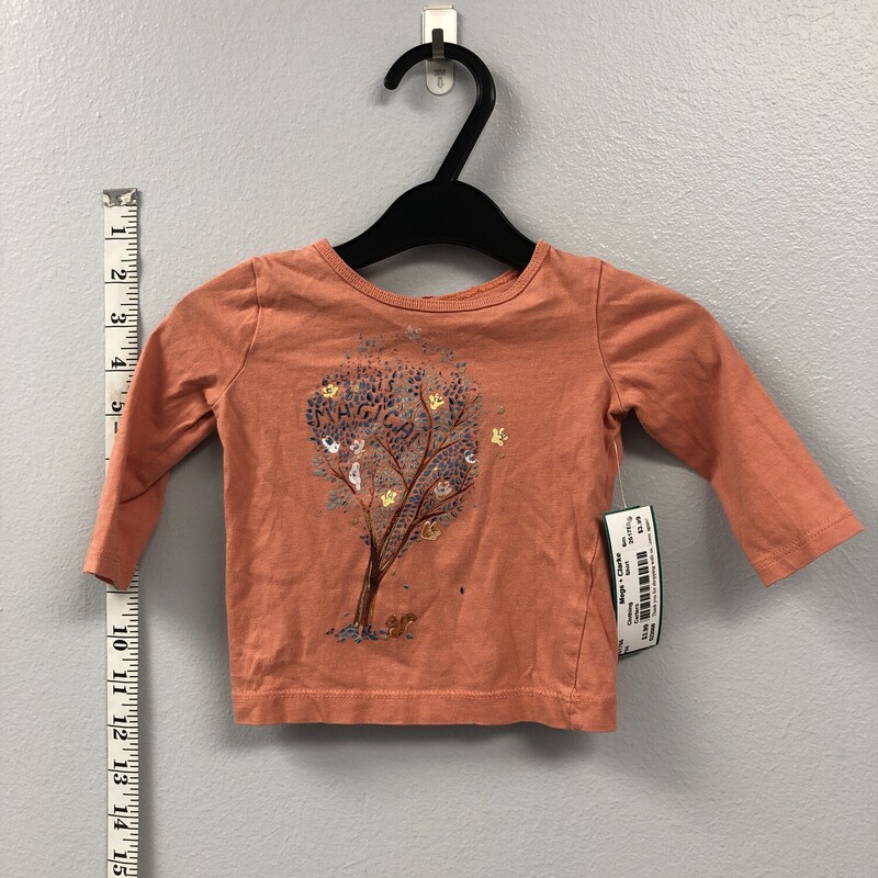 Carters, Size: 6m, Item: Shirt