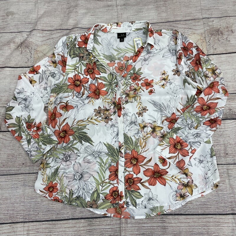 Blouse with long sleeves. This has a cream back ground olive coral flowers all over it. Sizw 1 X