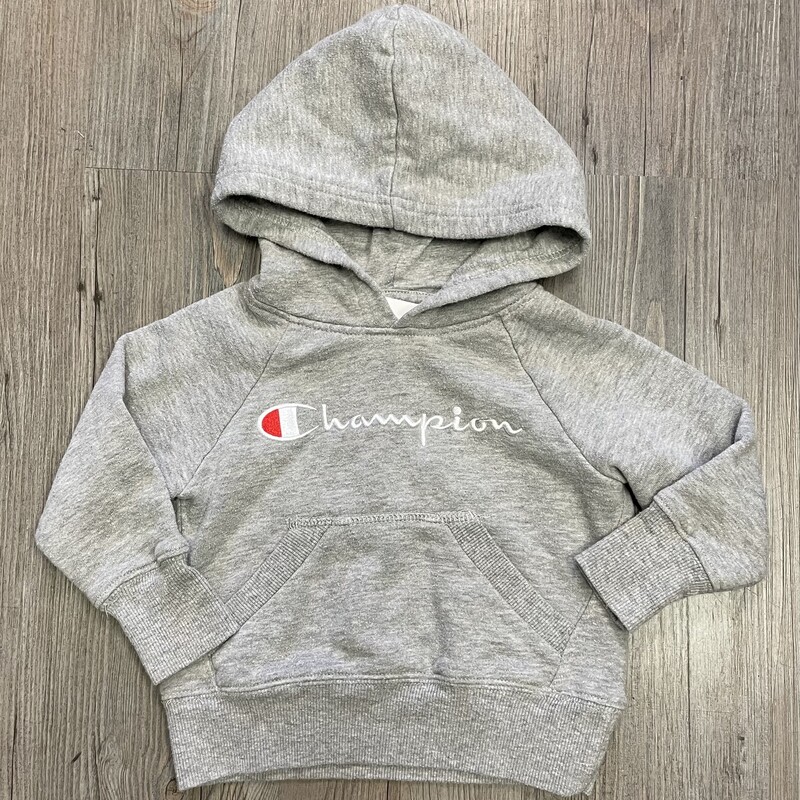 Champion Pullover Hoodie, Grey, Size: 2Y