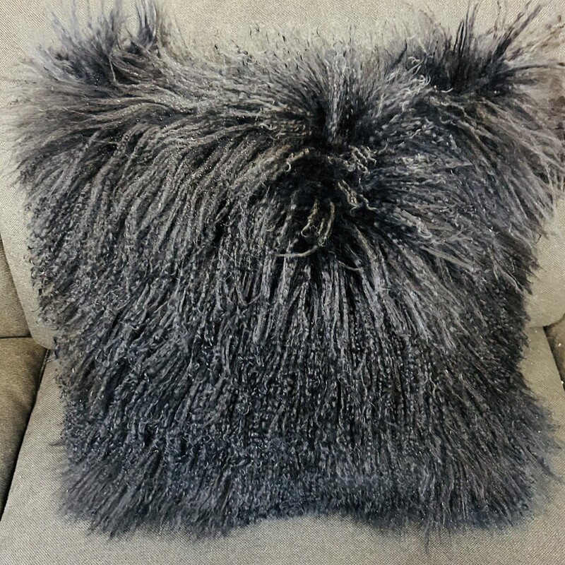 Arhaus Faux Fur Pillow
Black
Size 15 Sq