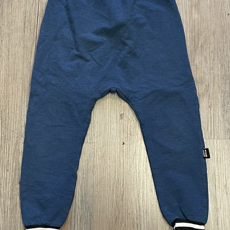 Whistle &flute Sweatpants, Blue, Size: 5-6Y