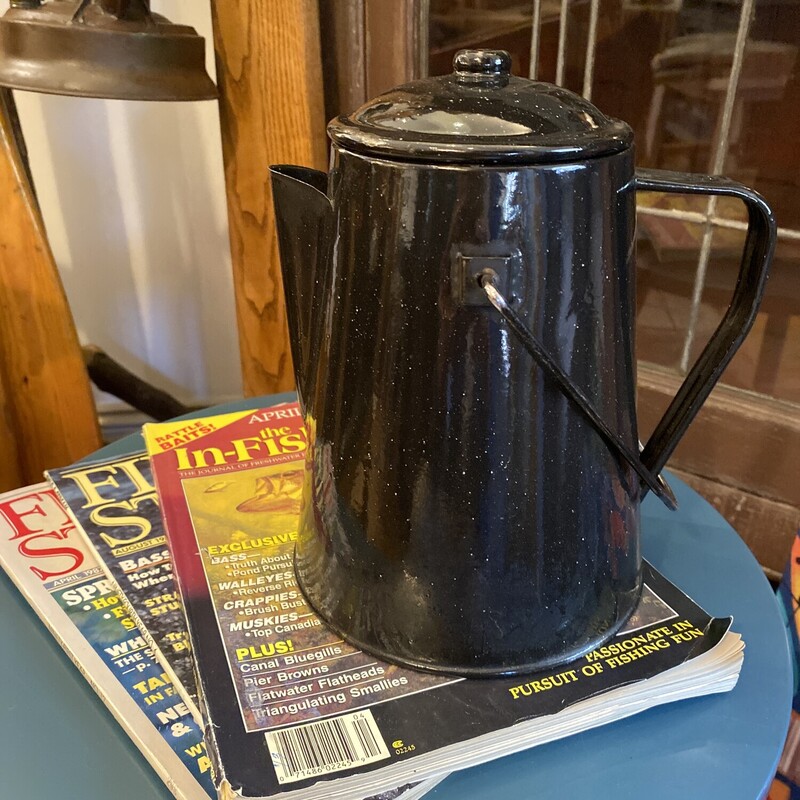 Vintage Black Coffee Pot

Size: 9Hx7W