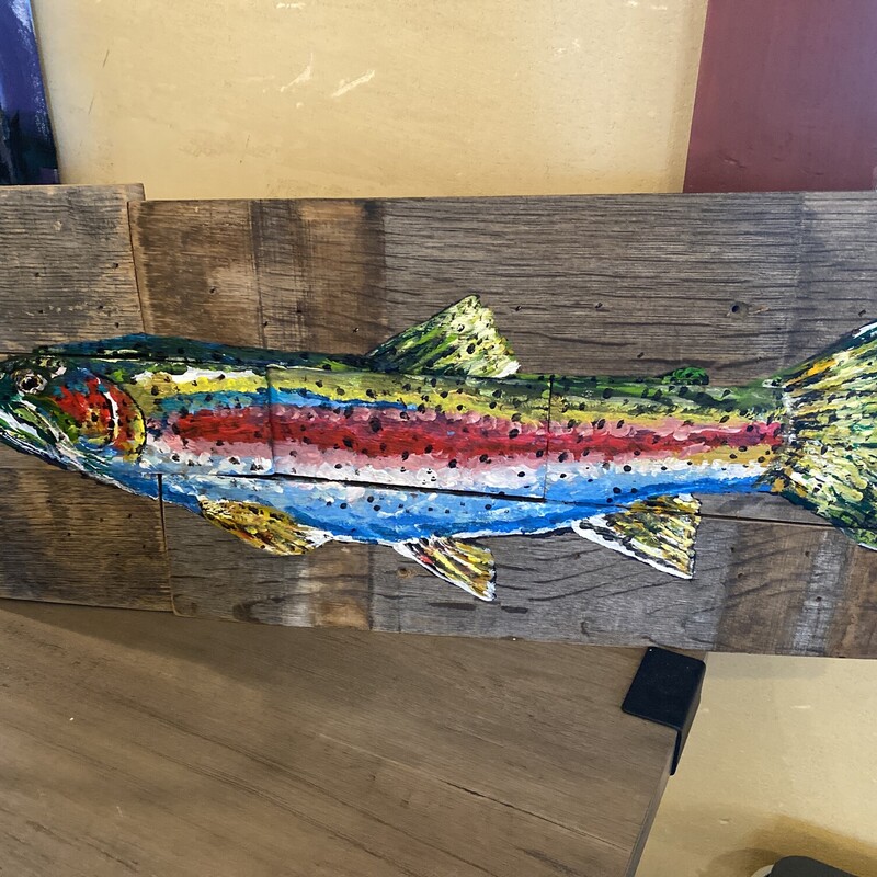 Rainbow Trout With Fly