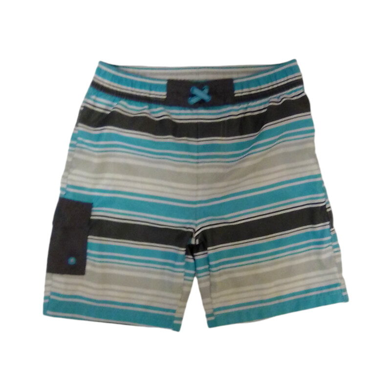 Swim Shorts (Blue Stripe)