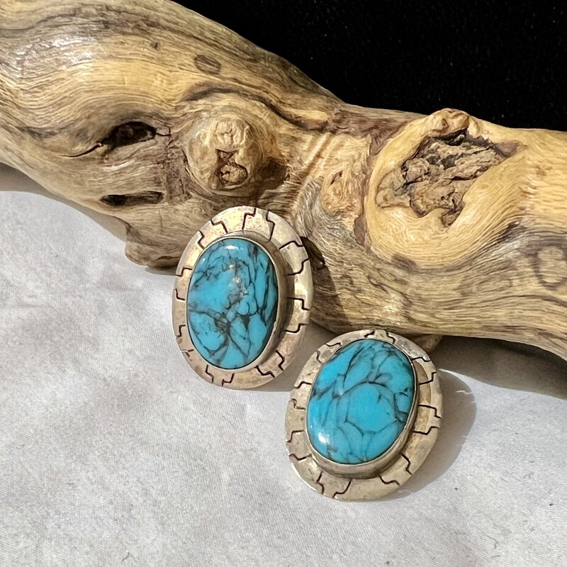 Strleig Ova lTurquoise Clip earrings