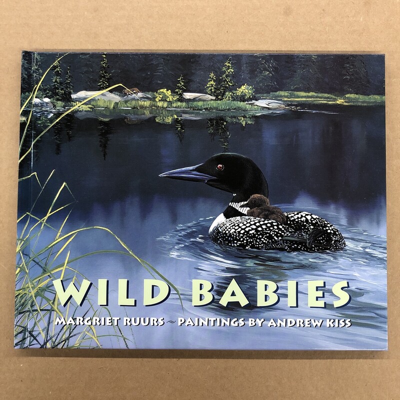 Wild Babies, Size: Cover, Item: Hard