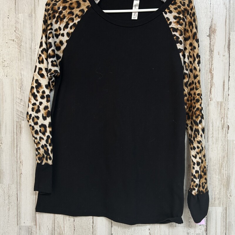 S Cheetah Sleeve Knit Top