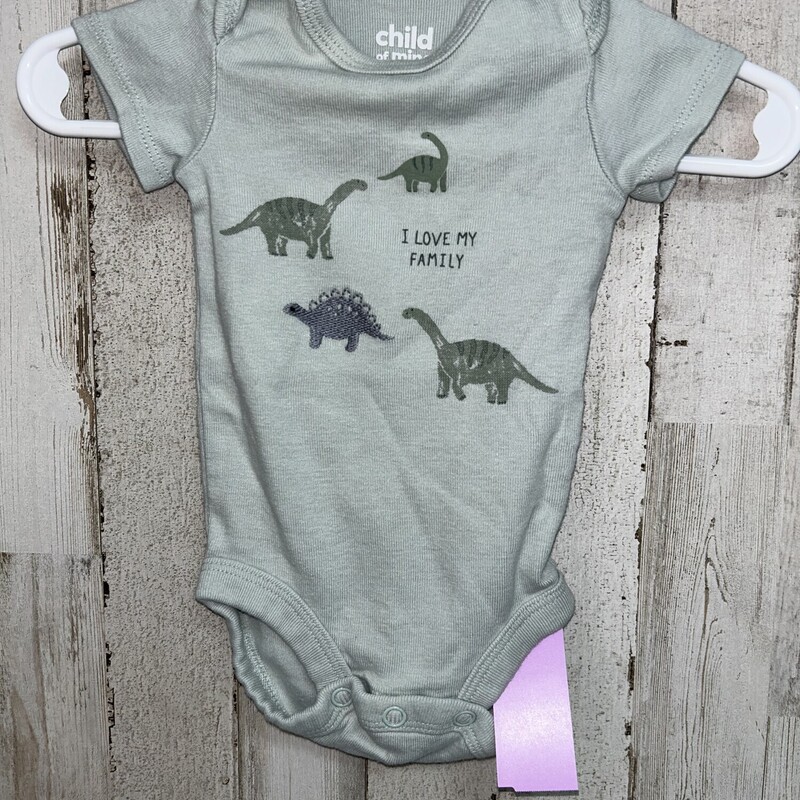 NB Sage Dino Onesie, Green, Size: Boy 0-9m