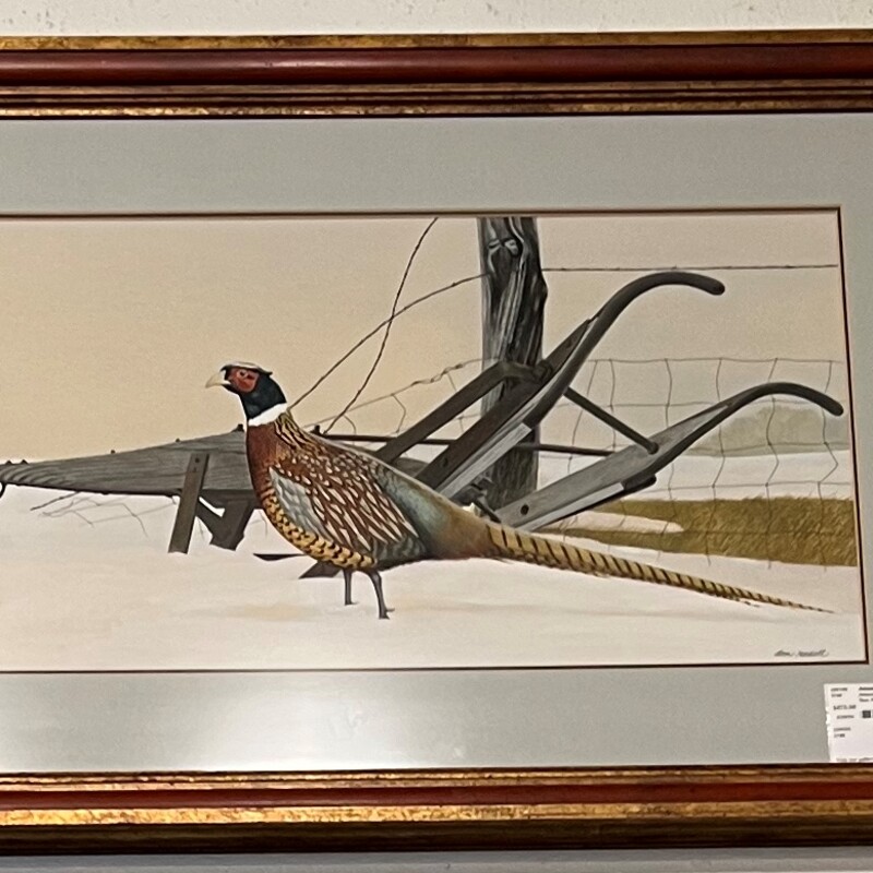 Don Rodell Wild Turkey, Original, Framed