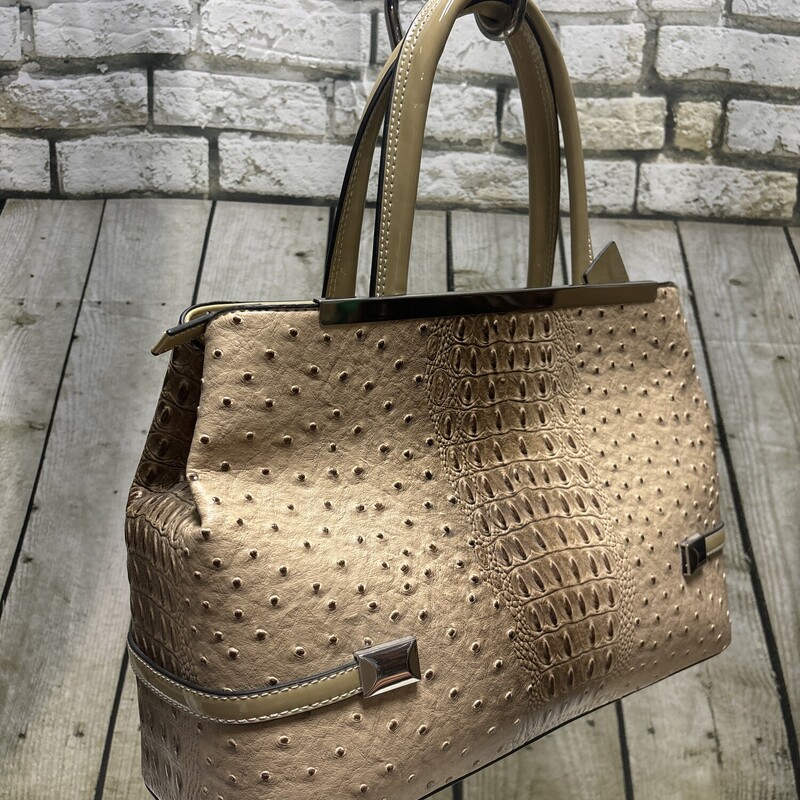 Dasien, Croc Emb, Size: Satchell