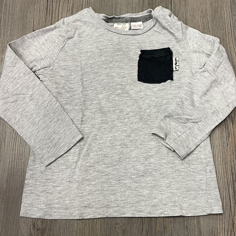 Zara LS Tee, Grey, Size: 3-4Y