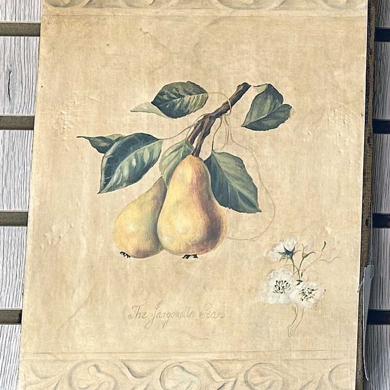 Pear Canvas 10 X 14