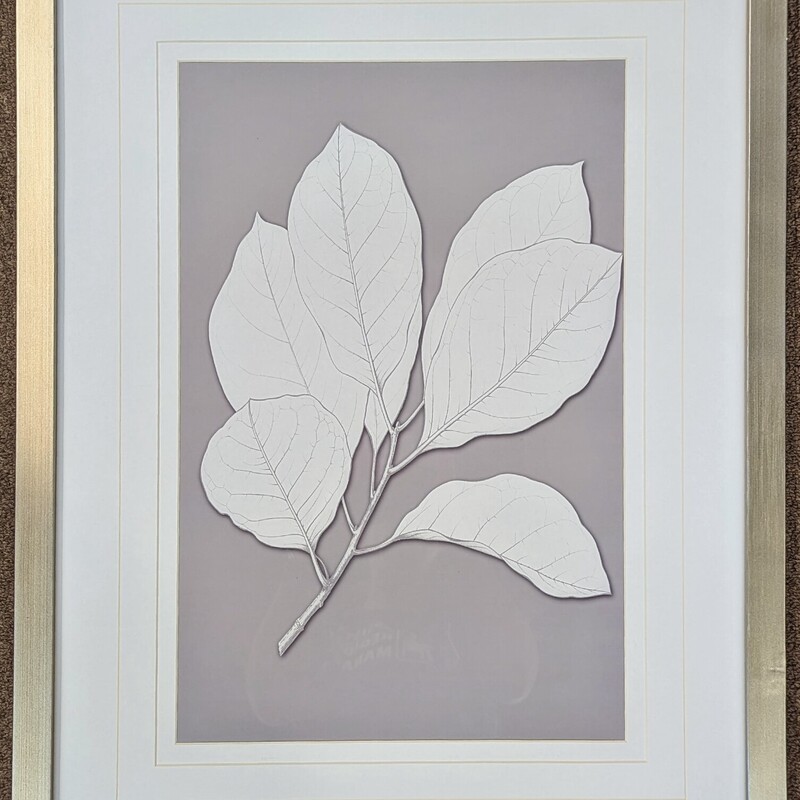 Uttermost Framed Leaf Print
White Gray Silver
Size: 19.5 x 25.5H