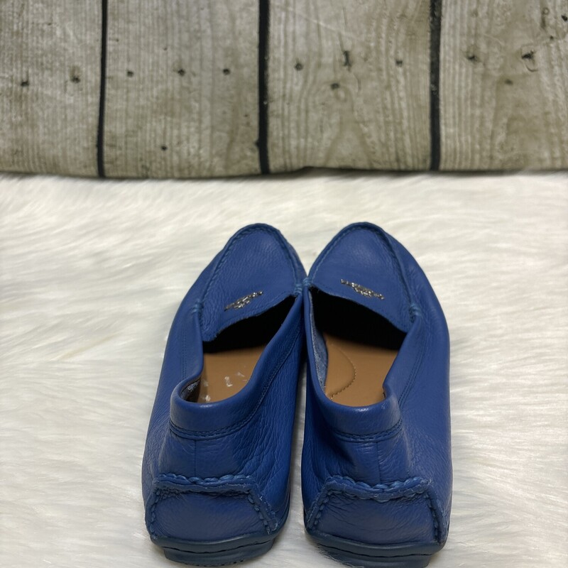 Coach, Blue, Size: 7 1/2