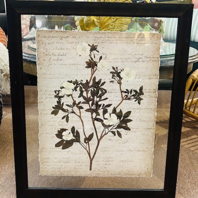 Dianthus Ripped Script In Glass Print
Cream Brown Green Size: 23 x 27H
Retails: $427 for set of 4