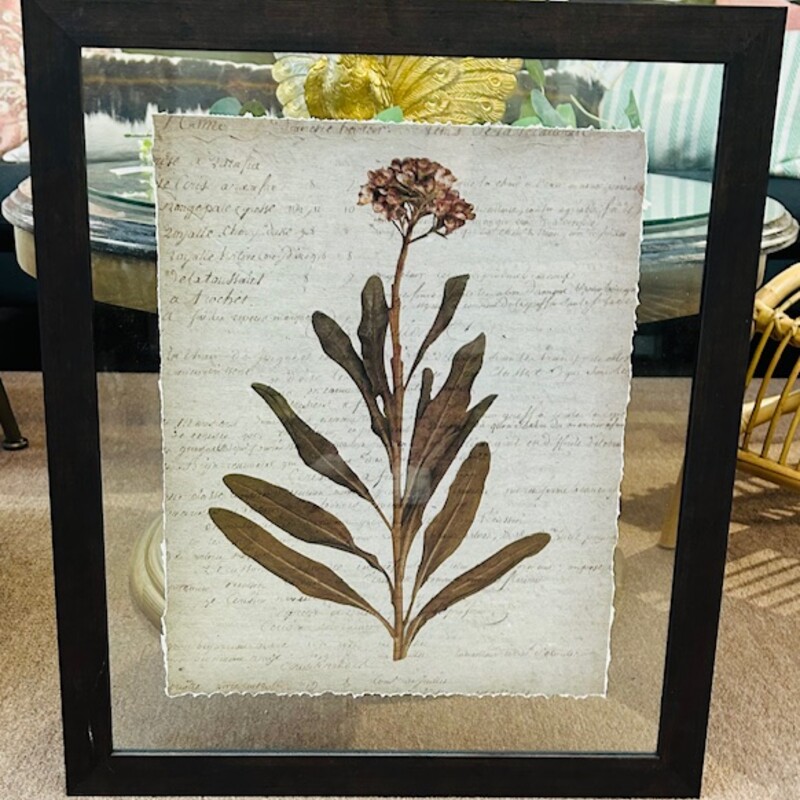 Rhododendron Ripped Script In Glass Print
Cream Brown Green Size: 23 x 27H
Retails: $427 for set of 4