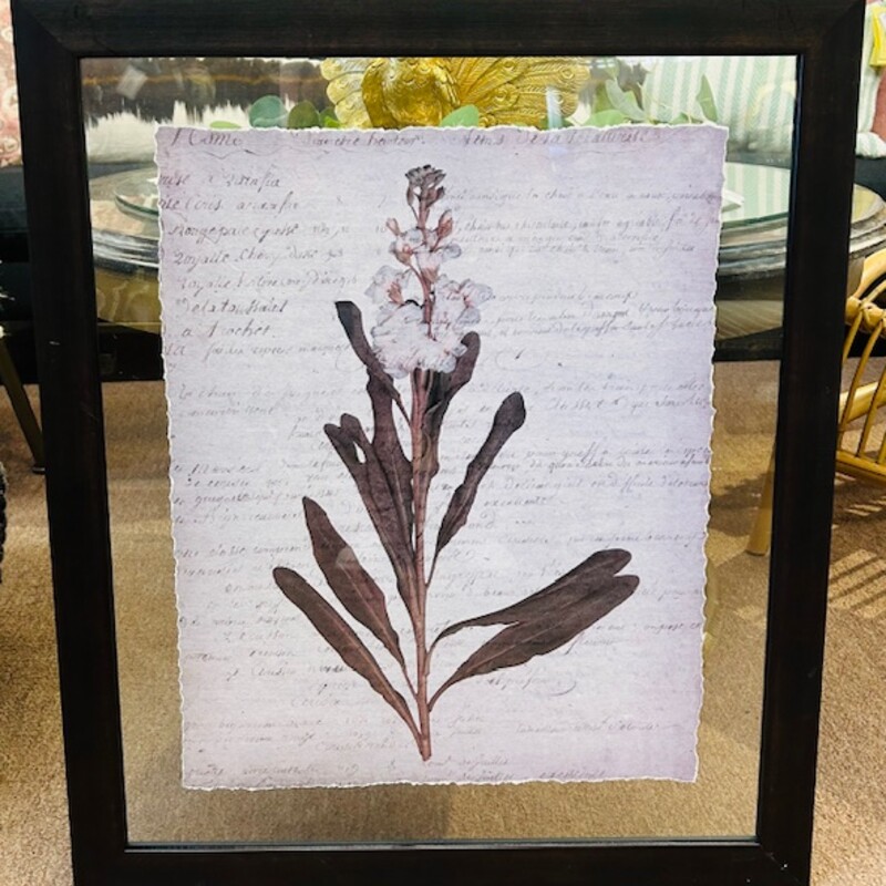 Gladiolus Ripped Script In Glass Print
Cream Brown Green Size: 23 x 27H
Retails: $427 for set of 4