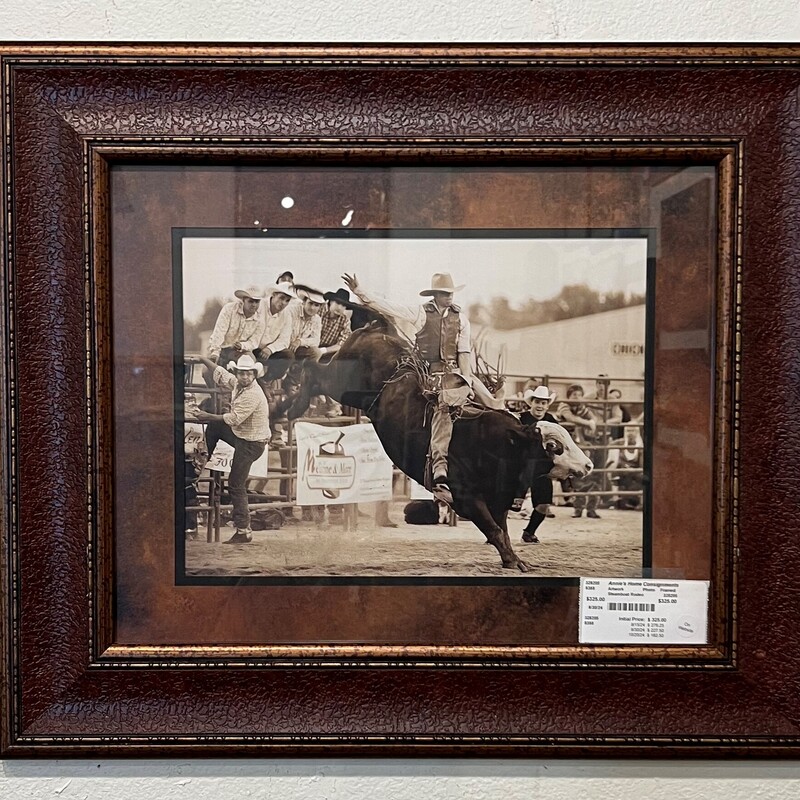 Steamboat Rodeo, Photo, Framed
27in x 24in