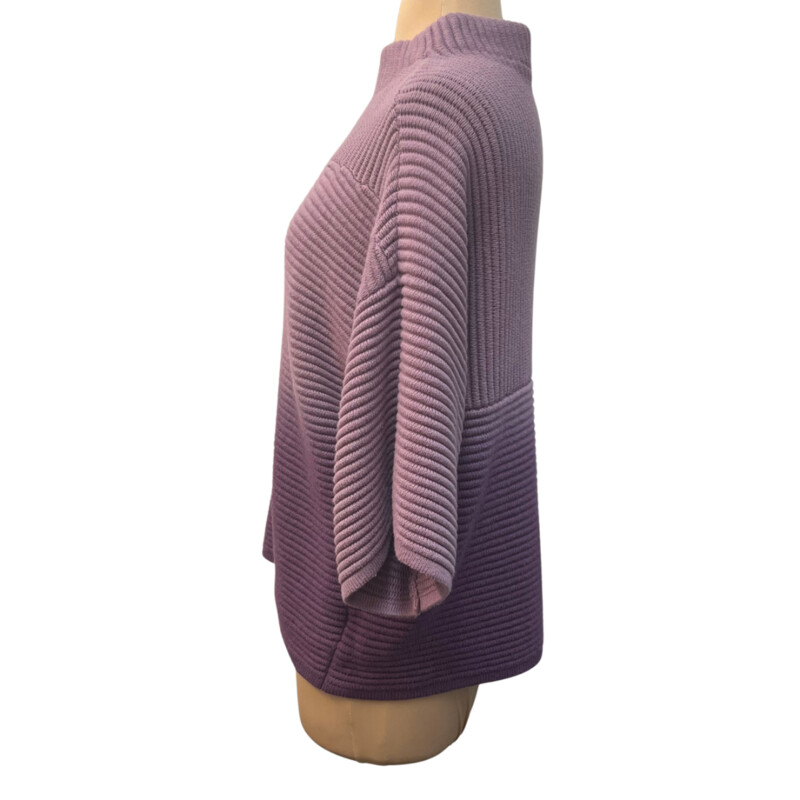 Chicos Violet Ombré Sweater
Mock-Neck Pullover
Textured to Perfection
Cotton Blend
Size: Large