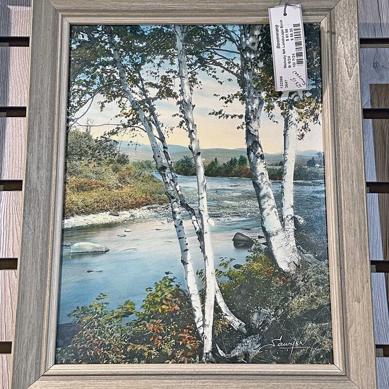 Melody NH Landscape Birch by Sawyer
Lacquered Print
15 In x 12 In.