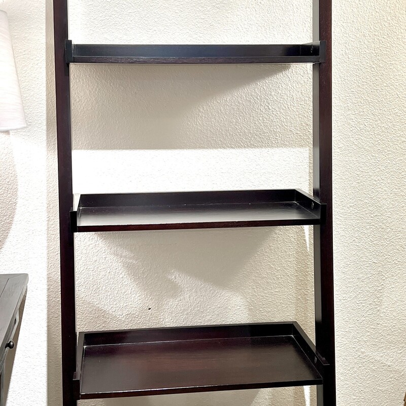 Bookshelf Ladder Leaning