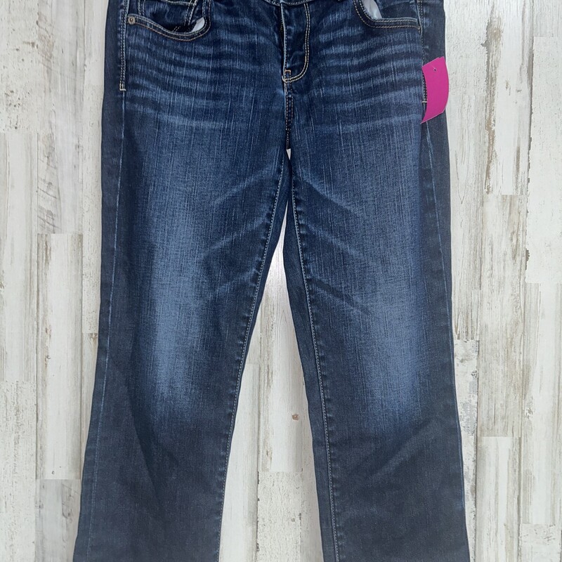 Sz10 Drk Wash Artist Jean, Blue, Size: Ladies L