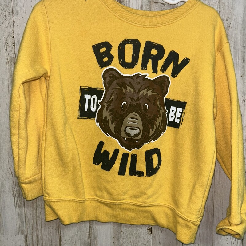 3T Born To Be Wild Sweats, Yellow, Size: Boy 2T-4T