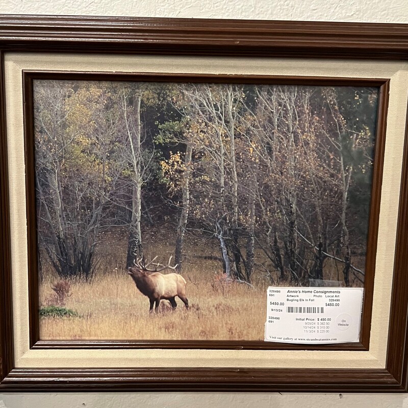 Bugling Elk In Fall, Photo, Local Art
18.5in x 16in