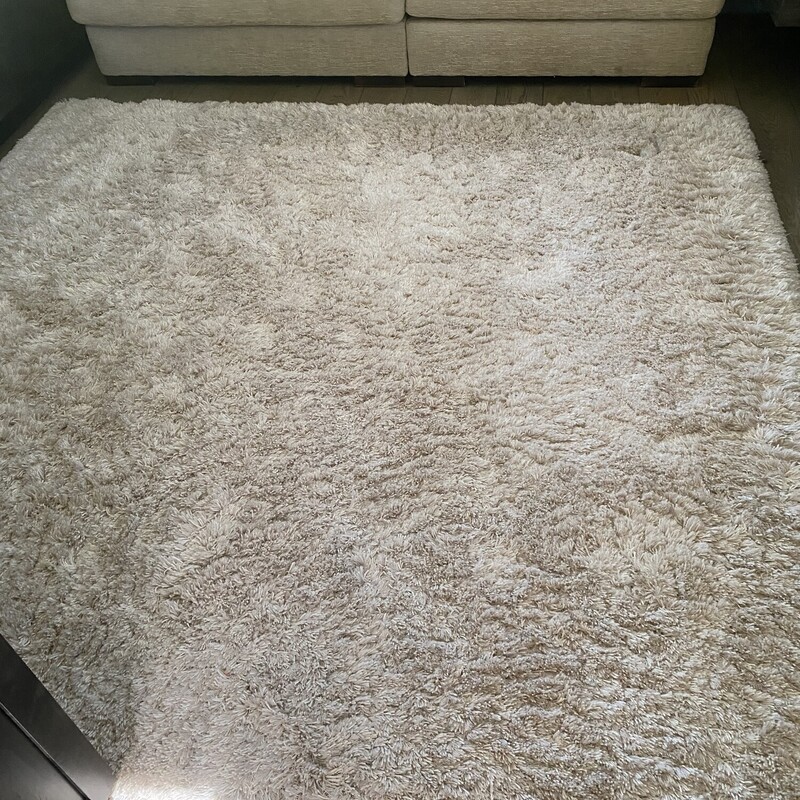 Shagtastic Rug

Size: 6.6x8.1