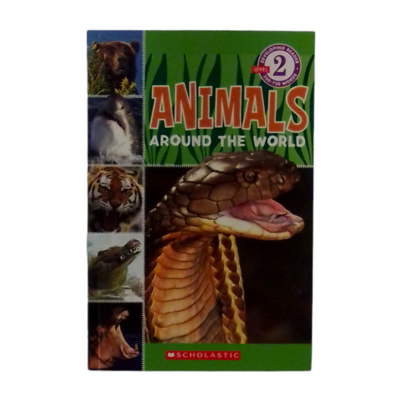 Animals Around The World