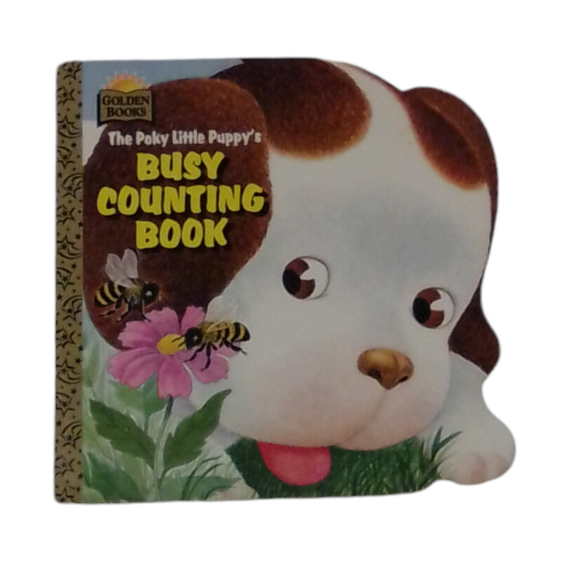 Busy Counting Book