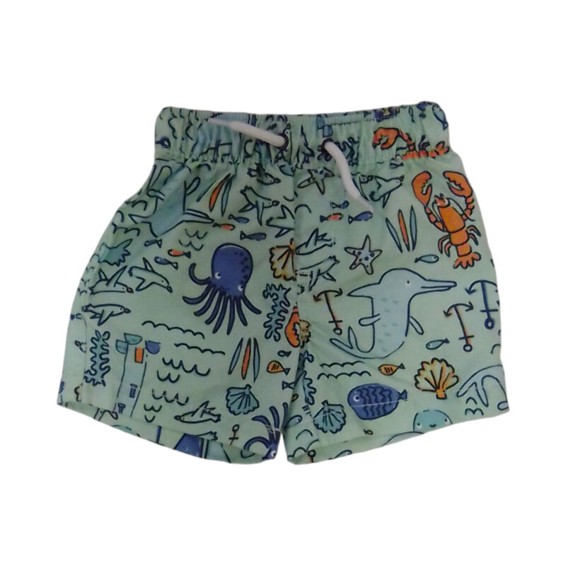 Swim (Shorts/Green), Boy, Size: 9m

Located at Pipsqueak Resale Boutique inside the Vancouver Mall, Suite 230, (upstairs between Round 1 and Golds Gym) or online at:

#resalerocks #pipsqueakresale #vancouverwa #portland #reusereducerecycle #fashiononabudget #chooseused #consignment #savemoney #shoplocal #weship #keepusopen #shoplocalonline #resale #resaleboutique #mommyandme #minime #fashion #reseller

All items are photographed prior to being steamed. Cross posted, items are located at #PipsqueakResaleBoutique, payments accepted: cash, paypal & credit cards. Any flaws will be described in the comments. More pictures available with link above. Local pick up available at the #VancouverMall, tax will be added (not included in price), shipping available (not included in price, *Clothing, shoes, books & DVDs for $6.99; please contact regarding shipment of toys or other larger items), item can be placed on hold with communication, message with any questions. Join Pipsqueak Resale - Online to see all the new items! Follow us on IG @pipsqueakresale & Thanks for looking! Due to the nature of consignment, any known flaws will be described; ALL SHIPPED SALES ARE FINAL. All items are currently located inside Pipsqueak Resale Boutique as a store front items purchased on location before items are prepared for shipment will be refunded.