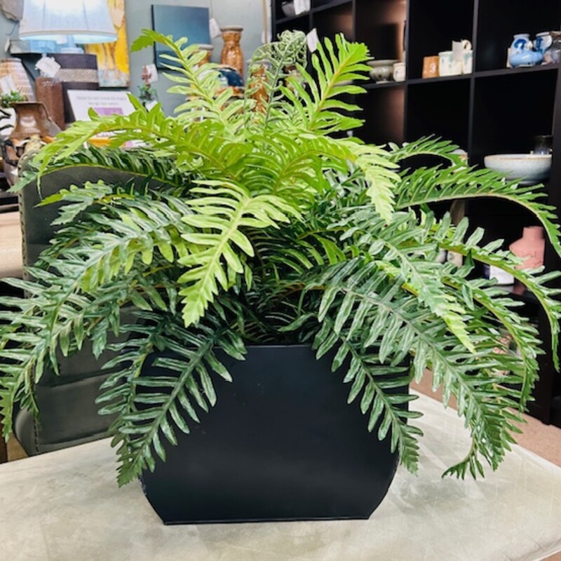 Faux Fern in Metal Pot
Green Black Size: 24 x 22H